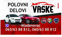 Polovni auto delovi Vaske