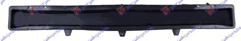 SINA ZADNJEG BRANIKA