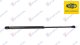 AMORTIZER HAUBE (500L-350N) (MARELLI)